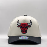 Mitchell & Ness NBA Flexfit 110 Go Team Go Chicago Bulls