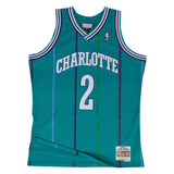Mitchell & Ness NBA Swingman Jersey Charlotte Hornets Larry Johnson #34 92-93