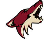 Arizona Coyotes