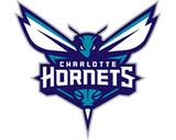 Charlotte Hornets Hats