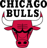 chicago bulls hats, caps & apparel