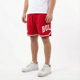 Mitchell & Ness NBA Team IP Mesh Shorts Chicago Bulls Red