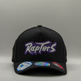 Mitchell & Ness NBA Flexfit 110 Double Up Toronto Raptors