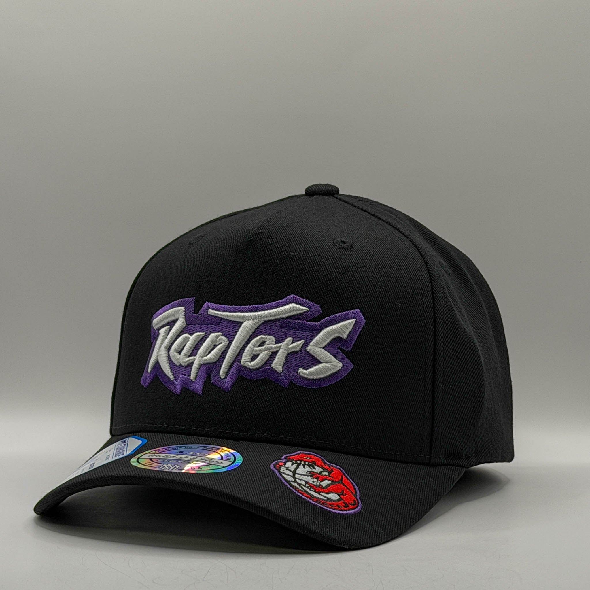 Mitchell & Ness NBA Flexfit 110 Double Up Toronto Raptors