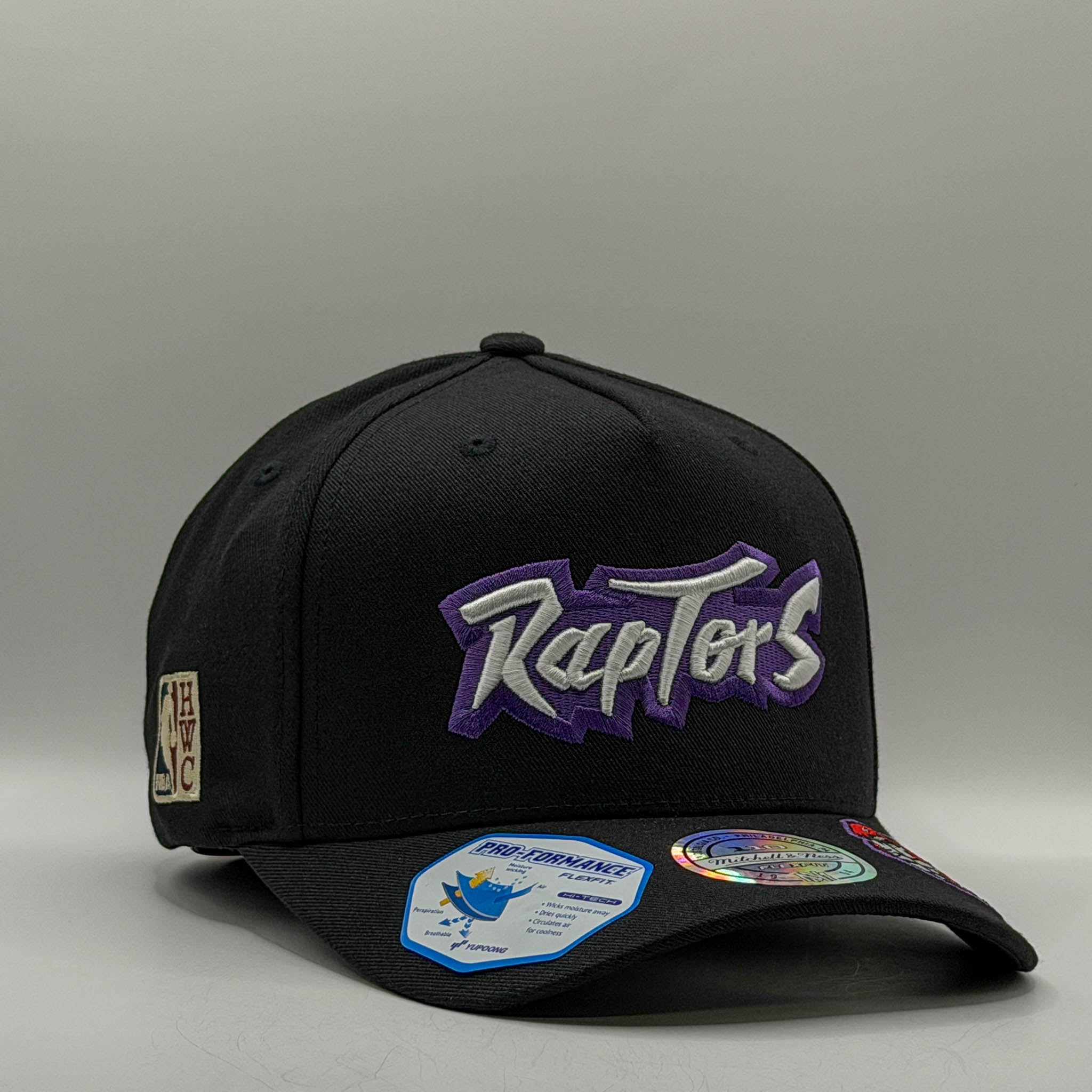 Mitchell & Ness NBA Flexfit 110 Double Up Toronto Raptors