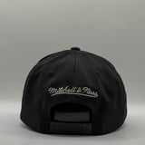 Mitchell & Ness NBA Flexfit 110 Double Up Toronto Raptors