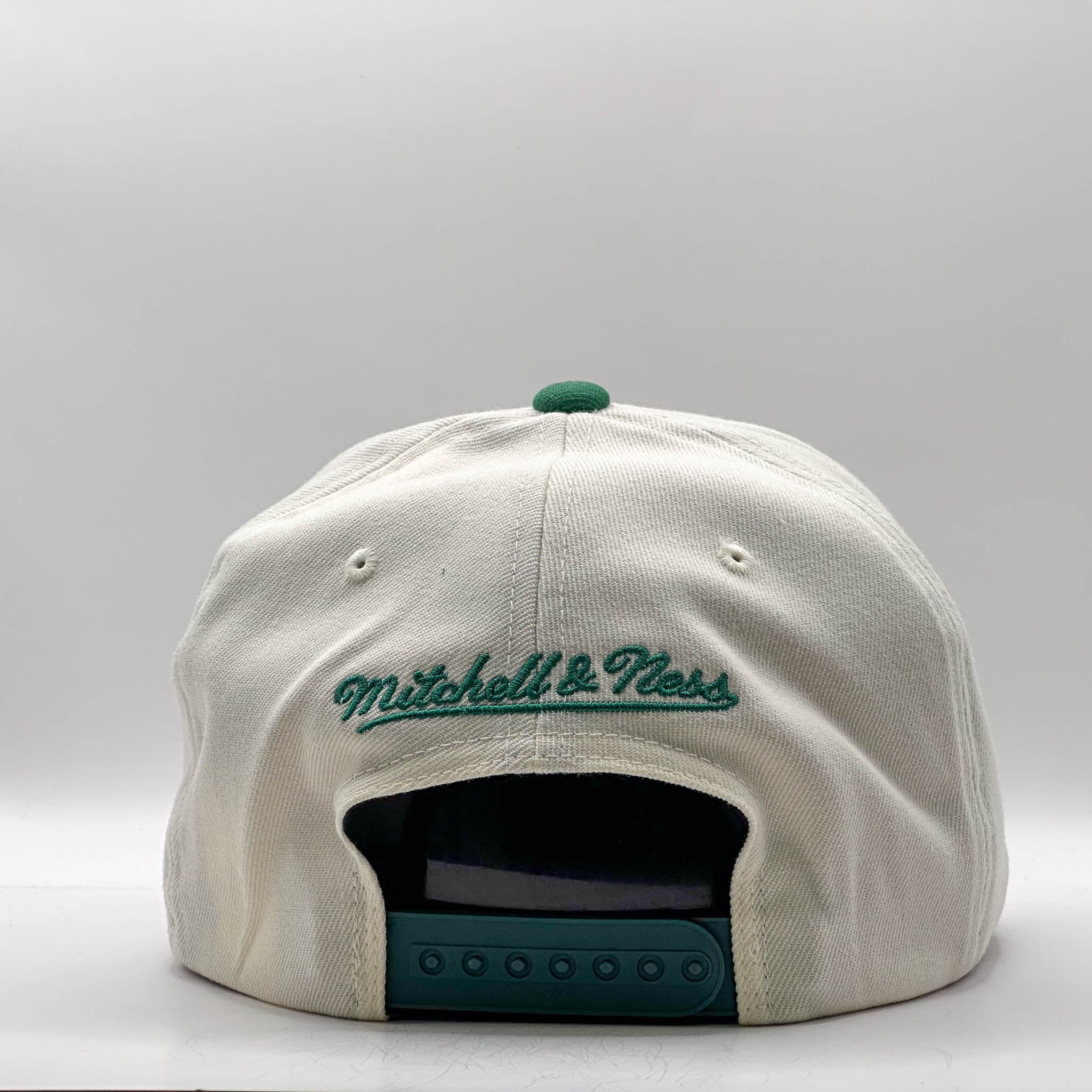 Mitchell & Ness NBA Flexfit 110 Go Team Go Boston Celtics