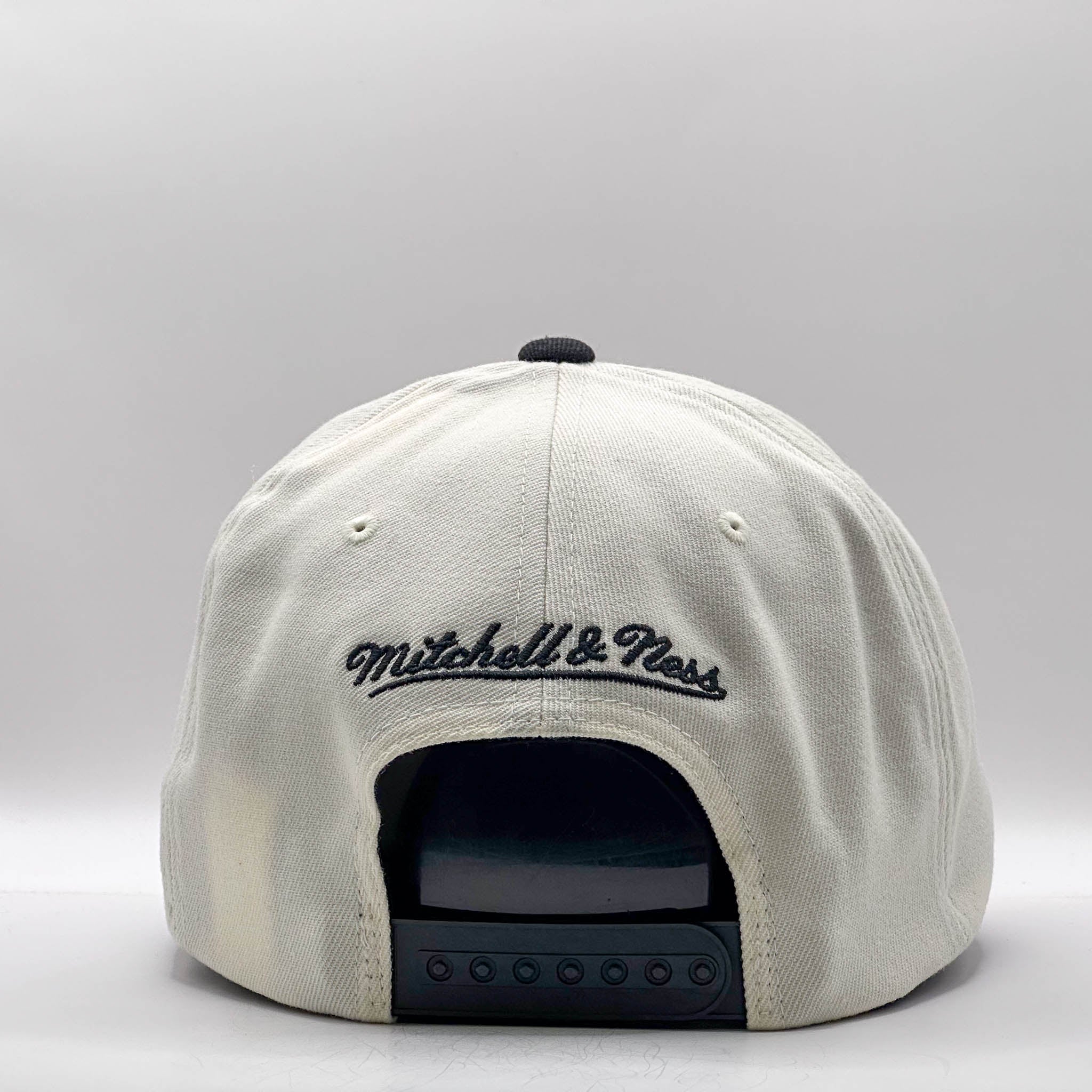 Mitchell & Ness NBA Flexfit 110 Go Team Go Chicago Bulls