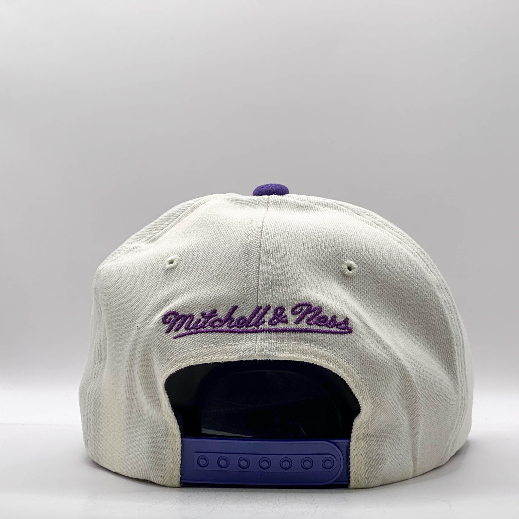 Mitchell & Ness NBA Flexfit 110 Go Team Go Los Angeles Lakers