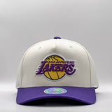 Mitchell & Ness NBA Flexfit 110 Go Team Go Los Angeles Lakers