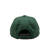 47 Brand MVP DT MLB Contemporary Boston Red Sox Green