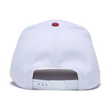 47 Brand MVP MLB Stadium TT Boston Red Sox Natural