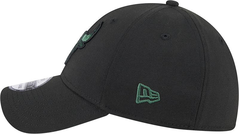 New Era 39Thirty NBA Black Cilantro Chicago Bulls