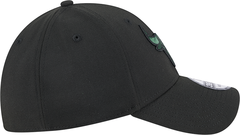 New Era 39Thirty NBA Black Cilantro Chicago Bulls