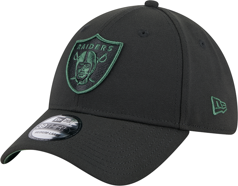 New Era 39Thirty NFL Black Cilantro Las Vegas Raiders