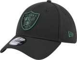 New Era 39Thirty NFL Black Cilantro Las Vegas Raiders
