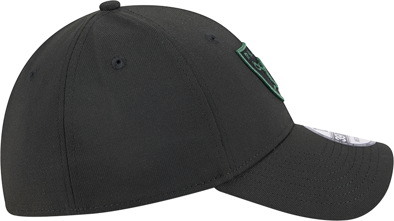New Era 39Thirty NFL Black Cilantro Las Vegas Raiders