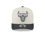 New Era 9Fifty A-Frame NBA 2Tone Steel Clouds Chicago Bulls