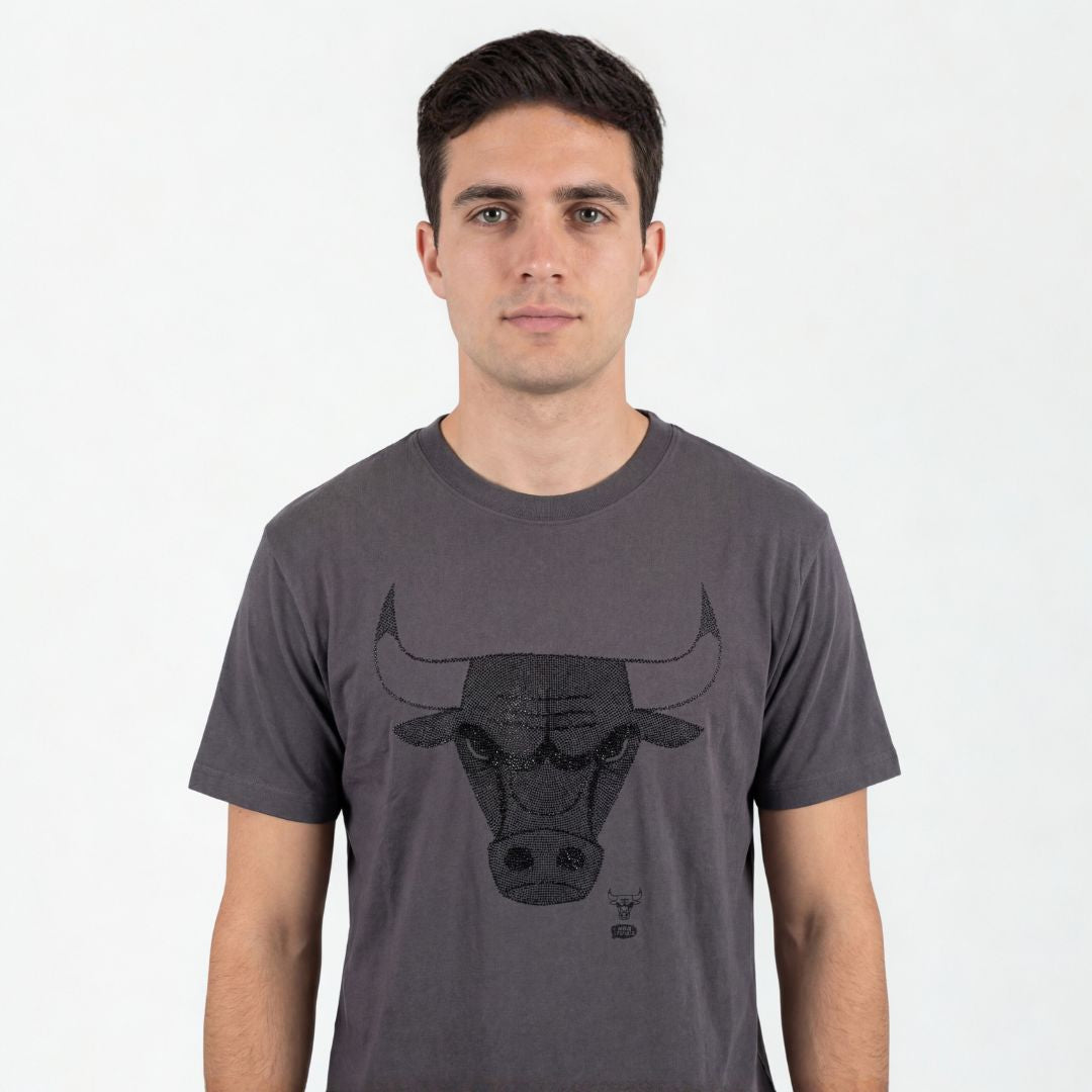 Mitchell & Ness NBA Team IP Tee Chicago Bulls Faded Slate