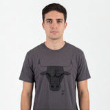 Mitchell & Ness NBA Team IP Tee Chicago Bulls Faded Slate