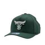 Mitchell & Ness NBA Flexfit 110 Winter Colour Chicago Bulls Pine Needle Green