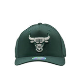Mitchell & Ness NBA Flexfit 110 Winter Colour Chicago Bulls Pine Needle Green