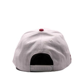 47 Brand MVP MLB Stadium TT Boston Red Sox Natural