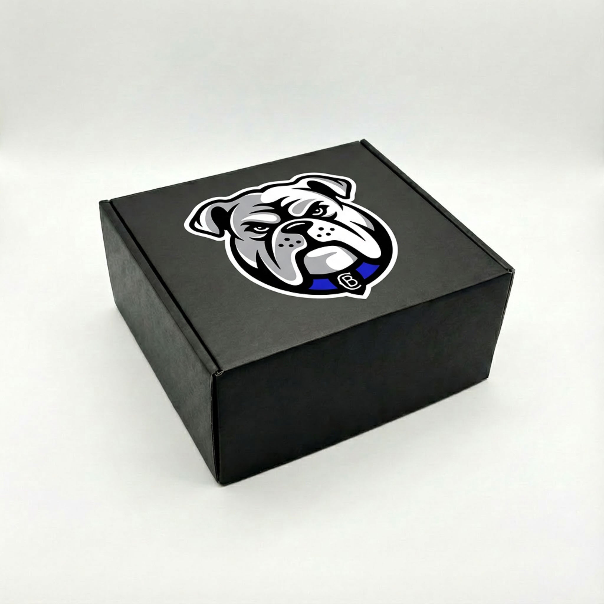 CAPZ NRL Canterbury-Bankstown Bulldogs Headwear Mystery Box