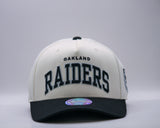 Mitchell & Ness NBA Flexfit 110 Team Arch Las Vegas Raiders