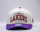 Mitchell & Ness NBA Flexfit 110 Team Arch Los Angeles Lakers