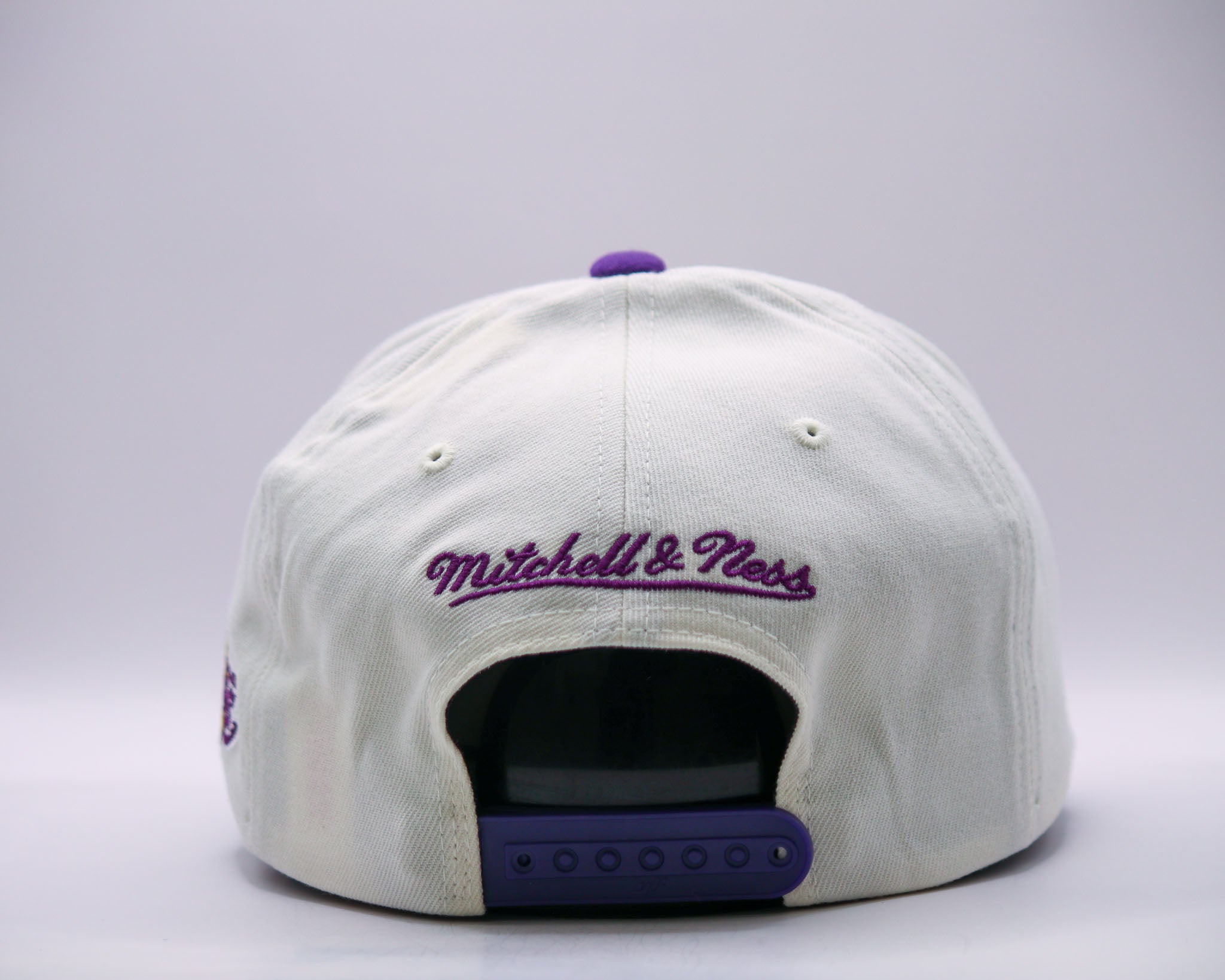 Mitchell & Ness NBA Flexfit 110 Team Arch Los Angeles Lakers