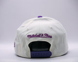 Mitchell & Ness NBA Flexfit 110 Team Arch Los Angeles Lakers