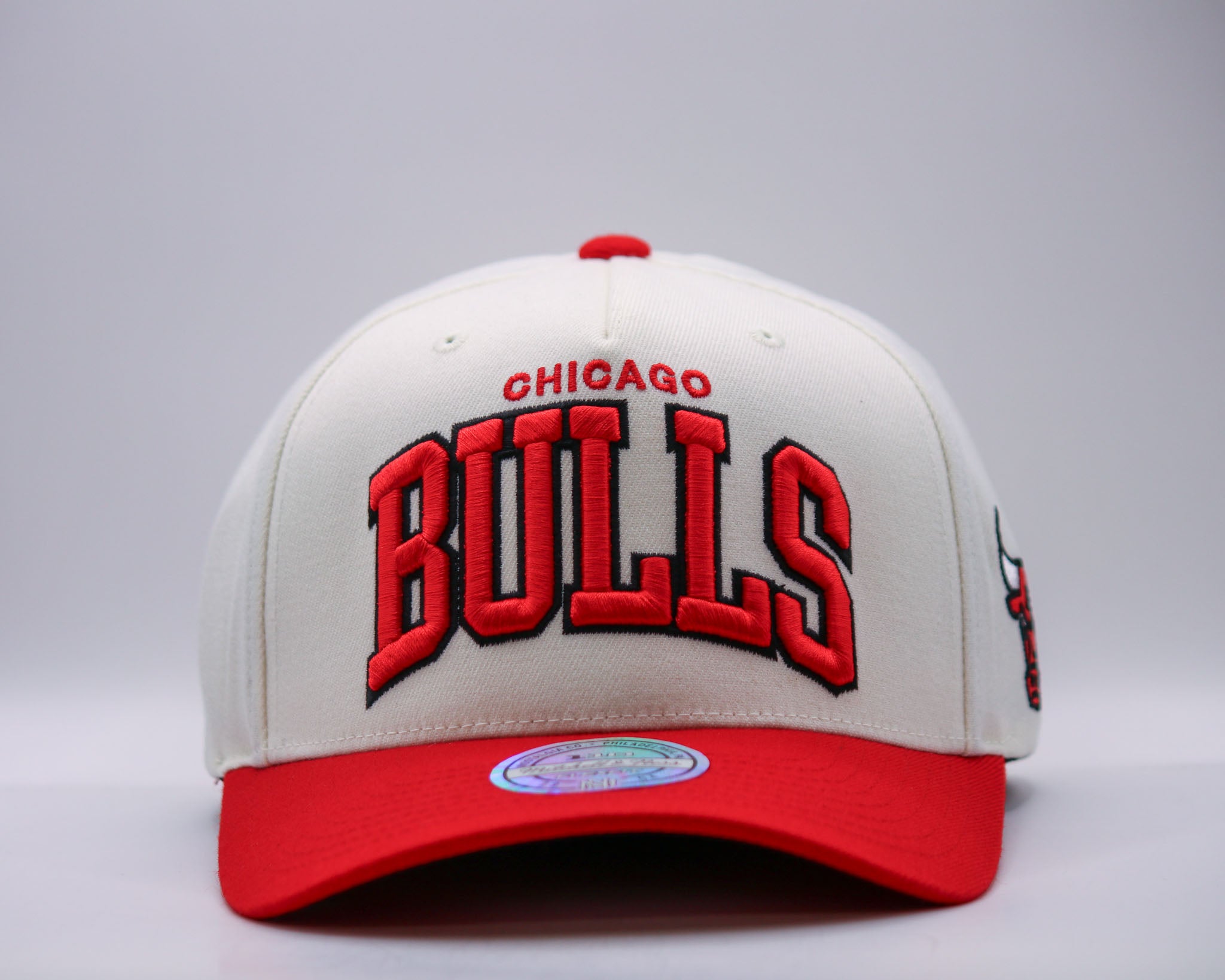 Mitchell & Ness NBA Flexfit 110 Team Arch Chicago Bulls