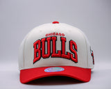 Mitchell & Ness NBA Flexfit 110 Team Arch Chicago Bulls
