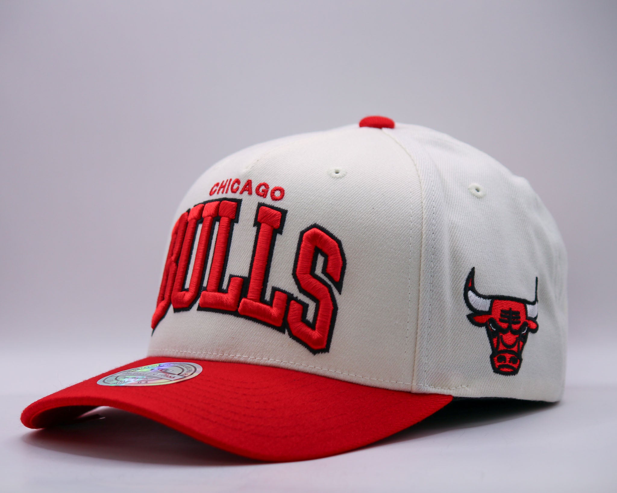 Mitchell & Ness NBA Flexfit 110 Team Arch Chicago Bulls