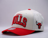 Mitchell & Ness NBA Flexfit 110 Team Arch Chicago Bulls