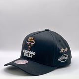 Mitchell & Ness NBA Pro Pinch Back To Back Chicago Bulls