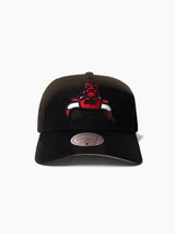 Mitchell & Ness NBA Upside Down Pro Pinch Chicago Bulls