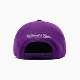 Mitchell & Ness NBA Pro Pinch Evergreen Team Toronto Raptors