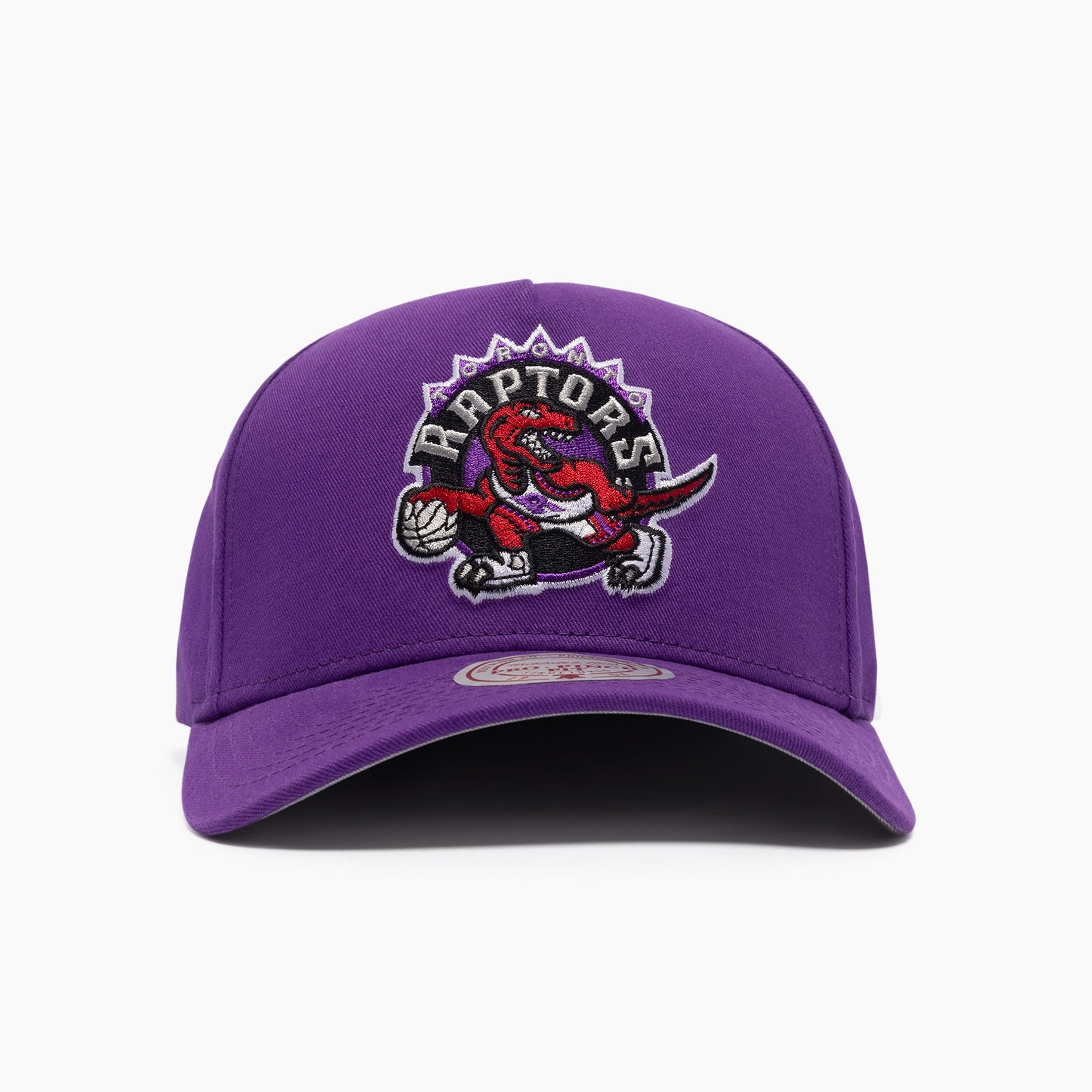 Mitchell & Ness NBA Pro Pinch Evergreen Team Toronto Raptors