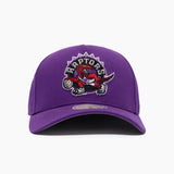 Mitchell & Ness NBA Pro Pinch Evergreen Team Toronto Raptors