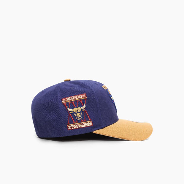 Mitchell & Ness NBA Work It Pro Crown Chicago Bulls