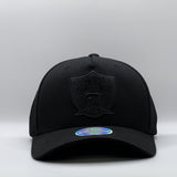 Mitchell & Ness NFL Flexfit 110 Black On Black Las Vegas Raiders