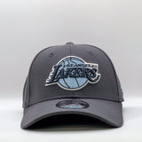 New Era 39Thirty NBA Los Angeles Lakers Graphite Sky Blue