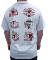 Mitchell & Ness NBA Golden Tee Chicago Bulls Vintage White