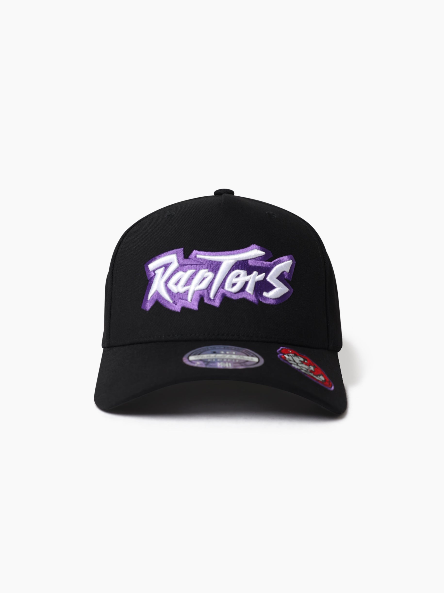 Mitchell & Ness NBA Flexfit 110 Double Up Toronto Raptors