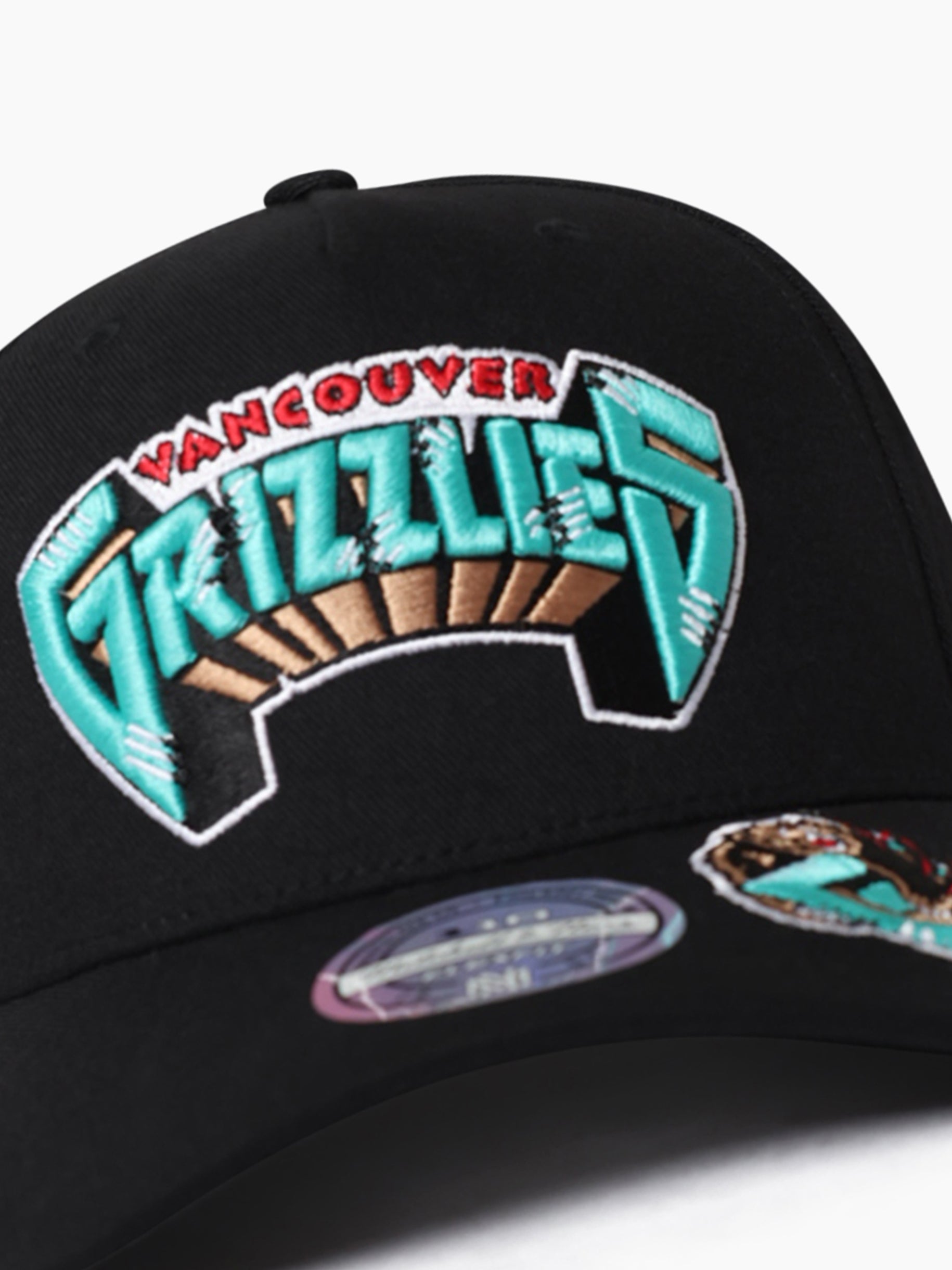 Mitchell & Ness NBA Flexfit 110 Double Up Vancouver Grizzlies