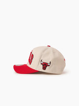 Mitchell & Ness NBA Flexfit 110 Team Arch Chicago Bulls