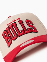 Mitchell & Ness NBA Flexfit 110 Team Arch Chicago Bulls