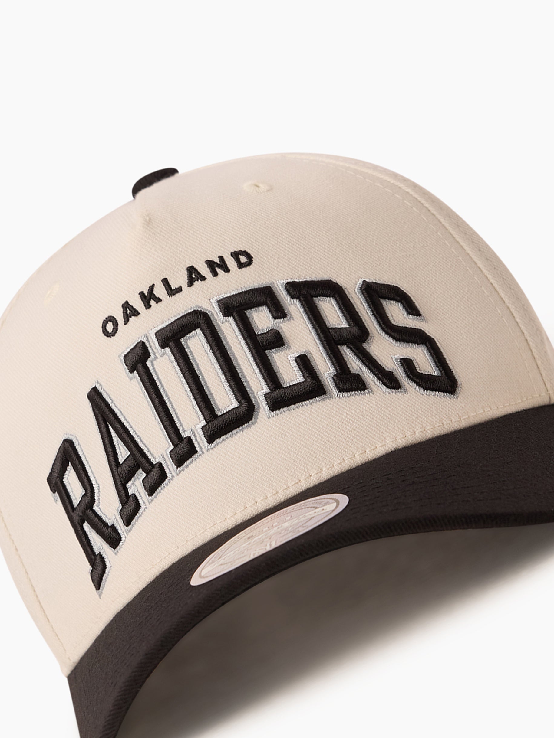 Mitchell & Ness NBA Flexfit 110 Team Arch Las Vegas Raiders